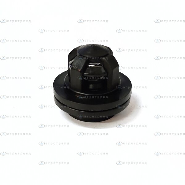 Клапан насоса BIARDZKI