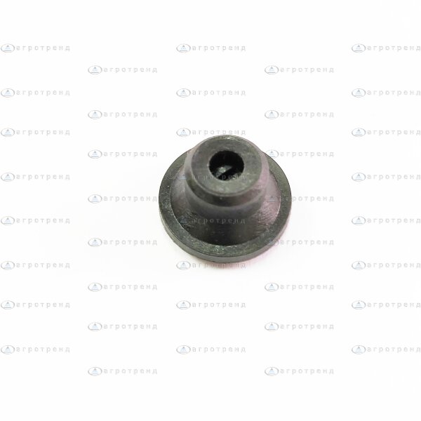 Клапан отсечного типа RAU