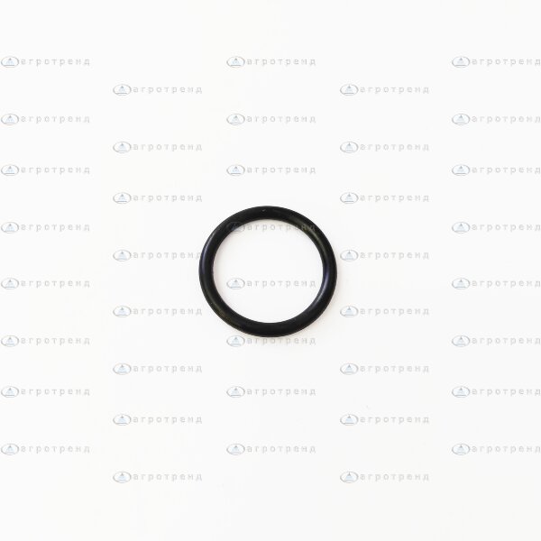 Кольцо клапана AR 320030