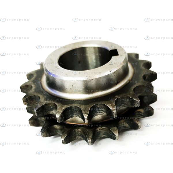 Звездочка 117800006