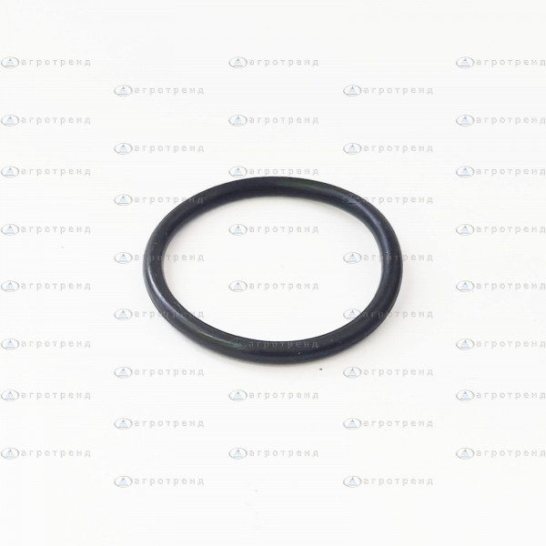 Кольцо клапана насоса P100 221391