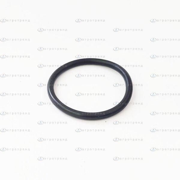 Кольцо рез.29,00х3,0