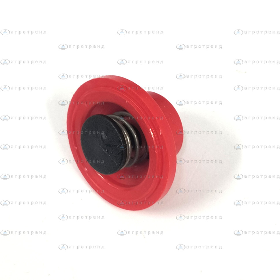 Клапан отсечного типа RAUD 0-105/08