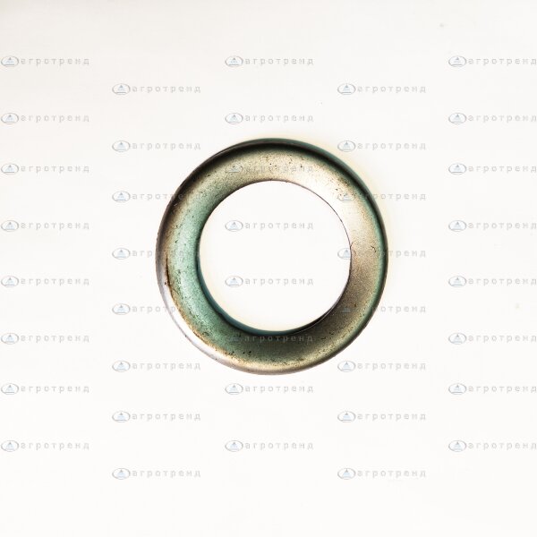 Шайба ПС-10.15.443