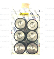 KIT клапаны SS POLY2120-50 (нерж) 629805973