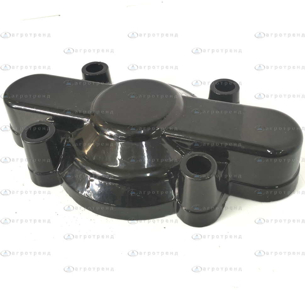 Крышка боковая насоса BIARDZKI