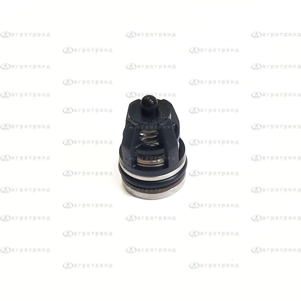 Ремкомплект клапанов TW 5025002100