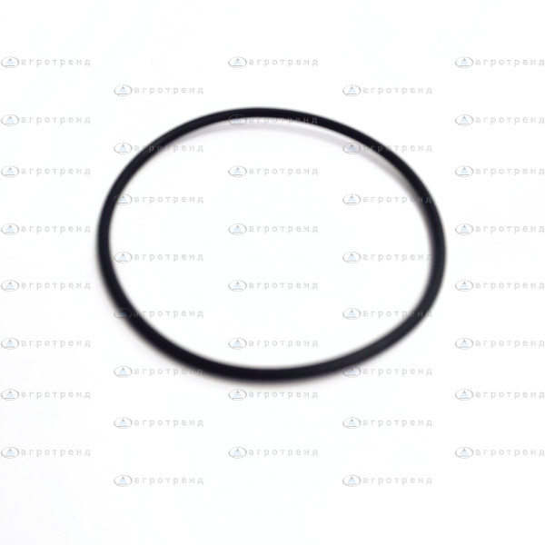 Прокладка рез. ф/элемента 319